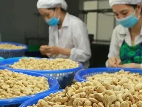 Xuất khẩu hạt điều lần đầu tiên vượt 5 tỷ USD