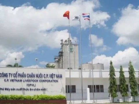 Thanh tra Chính phủ sẽ thanh tra CTCP Chăn nuôi C.P. Việt Nam cùng 2 doanh nghiệp khác