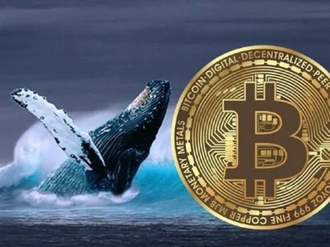 Thị trường tiền số hôm nay, 11-1: "Cá voi" Bitcoin bất ngờ quay xe