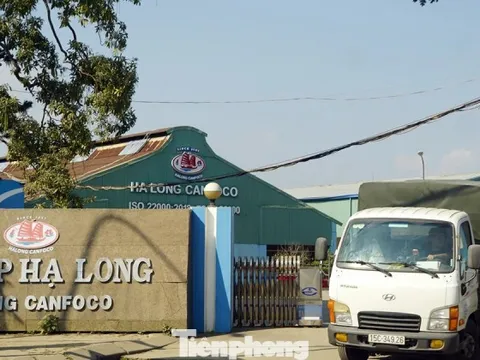 Vụ patê 'dính' thịt bệnh: Tình trạng nhà máy Đồ hộp Hạ Long hiện nay