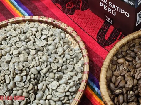 Giá cà phê hôm nay 11-1: Giảm, cà phê ngoại đổ về Việt Nam nhiều