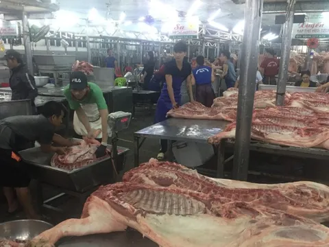 Giá heo hơi hôm nay, 12-1: Giá về chợ tiếp tục tăng cao