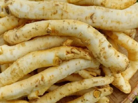 Loại cây trồng đầy vườn bỗng thành món mứt lạ ngày Tết, giá hơn nửa triệu đồng/kg vẫn hút khách