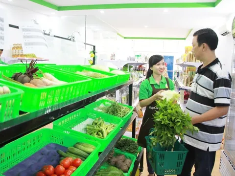 Các ngành nghề 'khát' nhân lực, được doanh nghiệp Việt ưu tiên tuyển dụng trong năm 2026