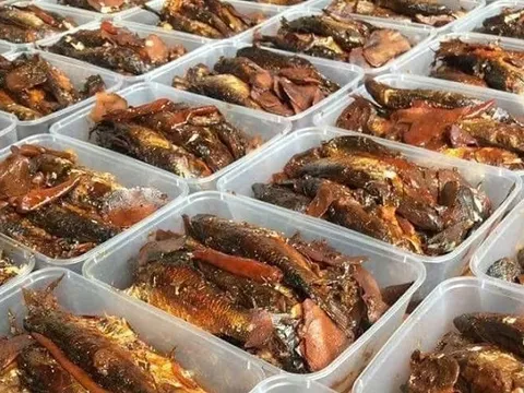 Không phải cá hồi, đây mới là loại cá 'đứng số 1 thế giới' về dinh dưỡng: Chợ Việt bán đầy, giá chỉ vài chục nghìn đồng