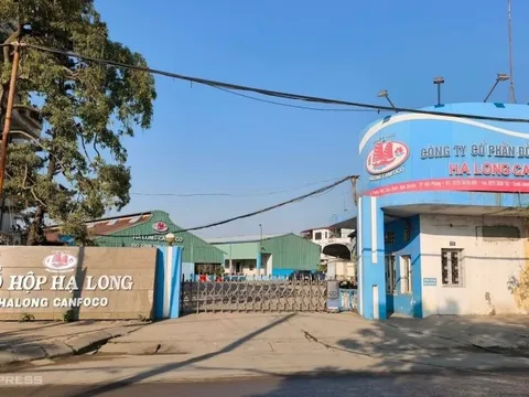 Nóng: Cán bộ Chi cục Thú y Hải Phòng ra đầu thú vì cấp giấy kiểm dịch khống cho Công ty Đồ hộp Hạ Long