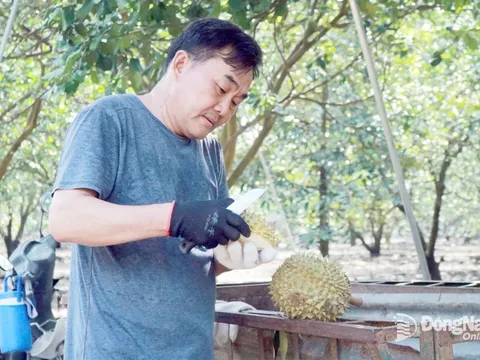 Một xã ở tỉnh Đồng Nai cứ ra ngõ là đụng trúng ‘tỷ phú nông dân’: Giống cây cứ trồng là ra trái bội thu, chăn nuôi phát triển