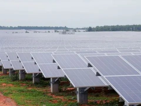 Xử phạt loạt doanh nghiệp liên quan đến WTO