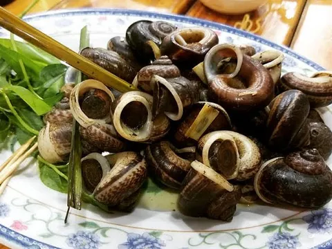 Xuất hiện chớp nhoáng mùa mưa, đặc sản này được săn lùng với giá trăm nghìn đồng/kg, khan hiếm phải đặt trước