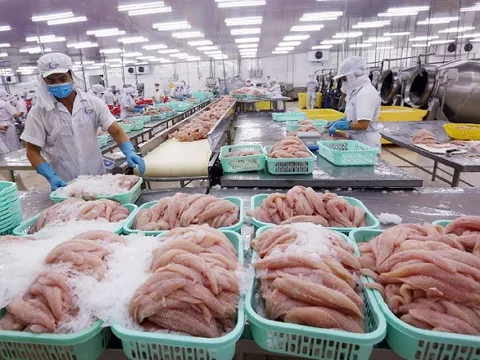 'Mỏ vàng dưới nước' của Việt Nam mang về gần 11,3 tỷ USD trong năm 2025