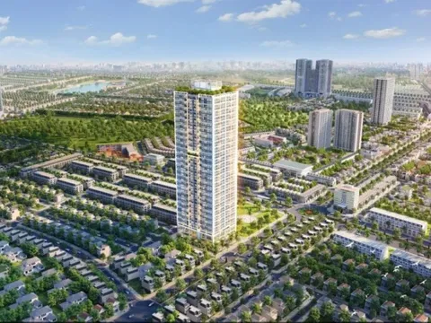 Một đơn vị liên quan và Chủ tịch Sông Đà 1.01 bị xử phạt hàng trăm triệu đồng vì “mua - bán chui” cổ phiếu SJC