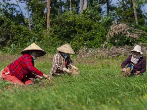"Thủ phủ" kiệu tết tất bật vào vụ