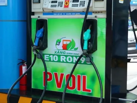 Nguy cơ xăng E10 thành 'hàng giả' bất đắc dĩ trước khi bán đại trà