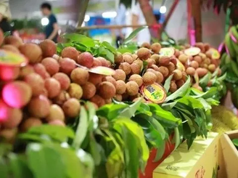 Xuất khẩu mặt hàng này của Việt Nam lập kỷ lục hơn 8,5 tỷ USD, Trung Quốc 'ôm' gần 2/3 kim ngạch