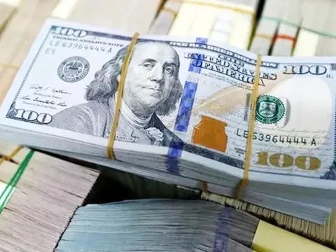 Tỷ giá USD hôm nay 20/1: Chợ đen tăng, ngân hàng hạ giá