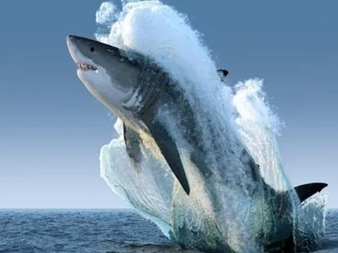 Giám đốc Đầu tư VinaCapital hé lộ hai nhóm cổ phiếu từng bị “bỏ quên” năm 2025 sẽ có "đất diễn" trong năm nay