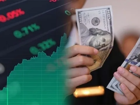 Tỷ giá USD hôm nay 21/1: USD giảm tại hầu hết ngân hàng