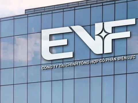 EVF về đích ấn tượng năm 2025, lợi nhuận vượt kế hoạch