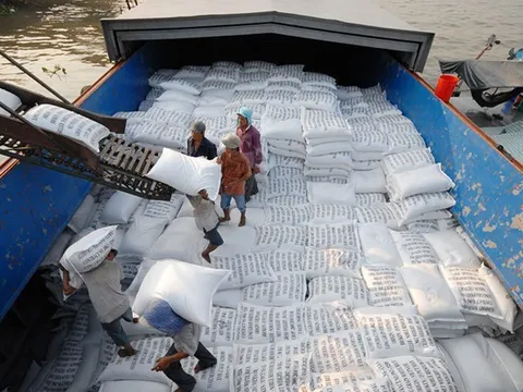 Dự kiến xuất khẩu gần 8 triệu tấn gạo, Bộ Nông nghiệp và Môi trường có động thái mới