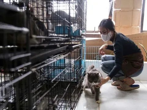 Nở rộ dịch vụ dịp Tết