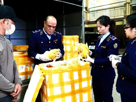 Kiểm tra một xe ô tô tải, phát hiện điều bất thường