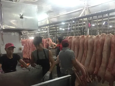 Giá heo hơi hôm nay, 24-1: Giá heo mảnh tại chợ đầu mối tăng mạnh