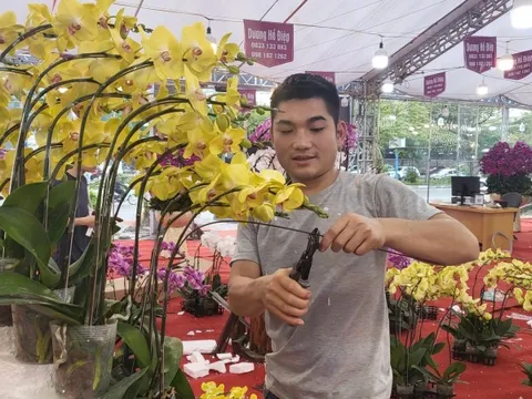 Nghề thời vụ kiếm 5 triệu/ngày mỗi dịp Tết khiến dân văn phòng 'chỉ biết ước'