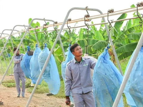 Siêu dự án 750 triệu đô của doanh nghiệp Việt phía sau "cuộc lột xác" của vùng đất Nam Lào