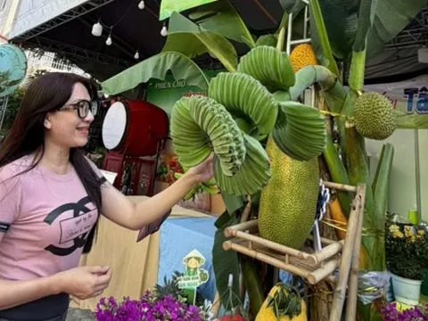 Chuối bàn tay phật, bưởi đỏ tiến vua, dưa hấu thỏi vàng… cháy hàng trước tết