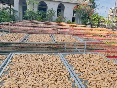 Bất ngờ về sản phẩm làng nghề mới nổi trên TikTok Shop mùa Tết