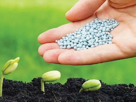 Việt Nam chi gần 2,2 tỷ USD mua mặt hàng được ví là 'cứu tinh' cho nông sản