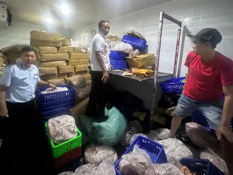 Kiểm tra đột xuất kho thực phẩm, phát hiện 744kg thịt cá đông lạnh không nguồn gốc