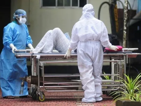 Bộ Y tế khuyến cáo người dân không ăn loại trái cây có dấu hiệu này để phòng ngừa virus Nipah