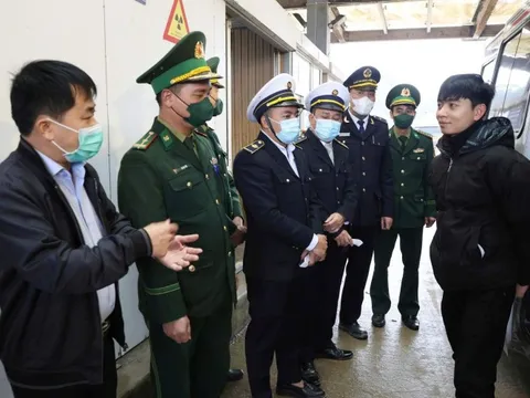 Hà Tĩnh chủ động phòng chống bệnh do virus Nipah