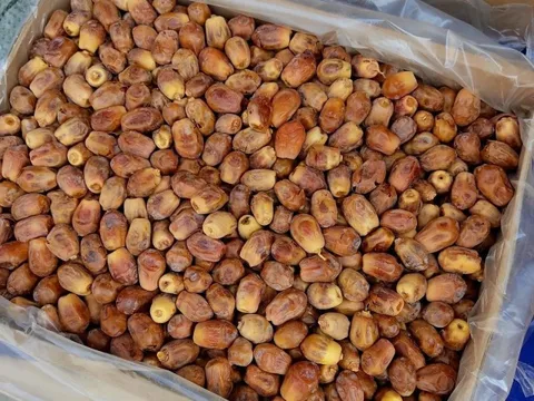 Cảnh báo từ chuyên gia: Loại quả bán tràn lan dịp Tết ở Việt Nam là đồ ăn ưa thích của loài dơi mang virus Nipah