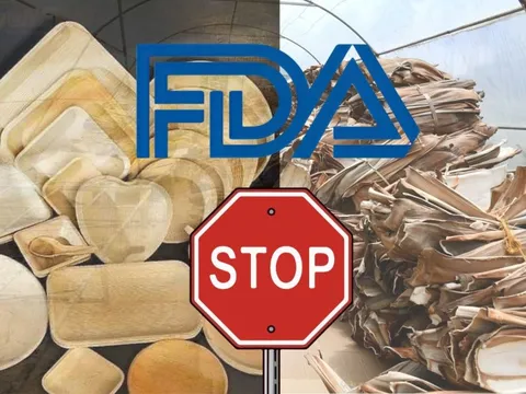 FDA cấm chén đĩa mo cau nhập khẩu vào Mỹ? Sự thật là gì, doanh nghiệp xuất khẩu mo cau Việt cần làm gì để tránh nguy cơ mất trắng
