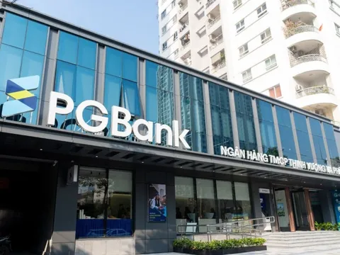 Hé lộ 11 nhà đầu tư cá nhân đăng ký mua 127 triệu cổ phiếu PGBank