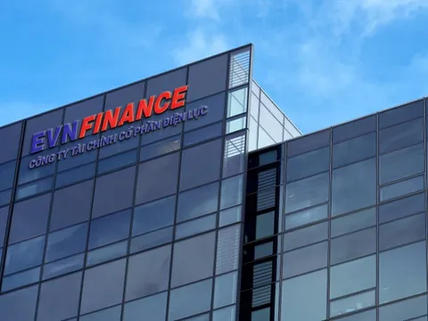 Bổ nhiệm ông Lê Mạnh Linh giữ chức Tổng Giám đốc EVN Finance