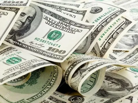 Tỷ giá USD hôm nay 29/1: Ngân hàng đồng loạt hạ giá, thị trường tự do giảm nhẹ