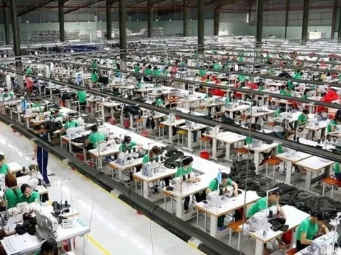 Đây là ngành 'đẻ trứng vàng' của Việt Nam: Sản xuất top 3 thế giới, xuất khẩu chỉ thua một quốc gia, mang về 29 tỷ USD trong năm 2025