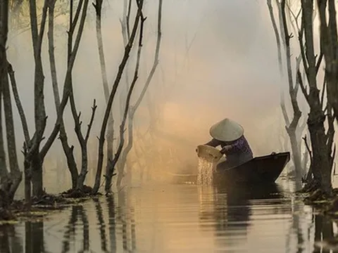 Lập kỷ lục chưa từng có, mặt hàng Việt Nam khiến Trung Quốc thích mê, ồ ạt thu mua