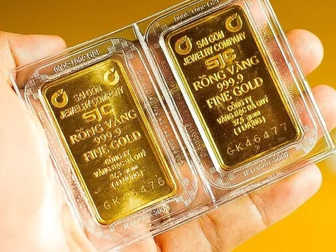 Sáng ngày 29/1: Giá vàng thế giới, vàng trong nước liên tiếp xô đổ kỷ lục, thiết lập đỉnh mới