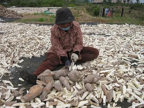 'Vàng trắng' dưới lòng đất mang về hơn tỷ USD cho Việt Nam xuất khẩu top 3 thế giới, nhưng đang đối mặt loạt thách thức lớn