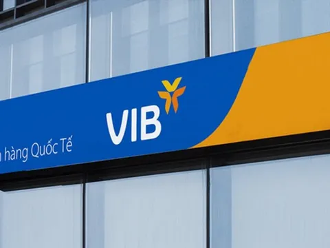 VIB: Lợi nhuận 2025 vượt 9.100 tỷ đồng, tổng tài sản cán mốc nửa triệu tỷ