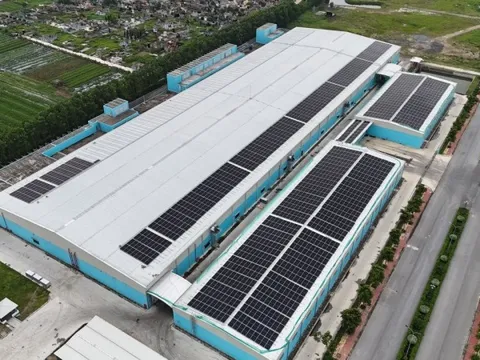 Damsan báo lãi gần 123 tỷ đồng năm 2025, tăng trưởng 89%