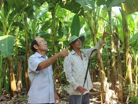 4 xã này ở Đồng Nai tuy đất cằn cỗi nhưng nông dân vẫn ‘đút túi’ lên tới 200 triệu/năm nhờ trồng 'trái cây hạnh phúc', nay đã ‘lên đường’ vươn ra thế giới