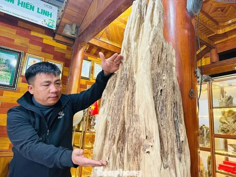 Khối trầm hương tự nhiên quý hiếm bậc nhất ở Hà Tĩnh: Đại gia trả 600 triệu vẫn chưa chịu bán