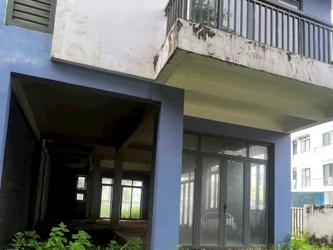 Một căn nhà bỏ hoang nhiều năm vẫn tăng giá gấp 2 - 3 lần có vô lý?