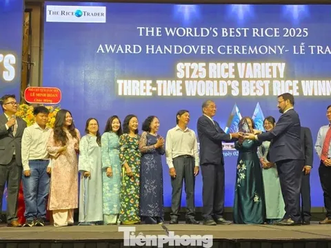 Gạo ST25 của Việt Nam xứng đáng ngon nhất thế giới