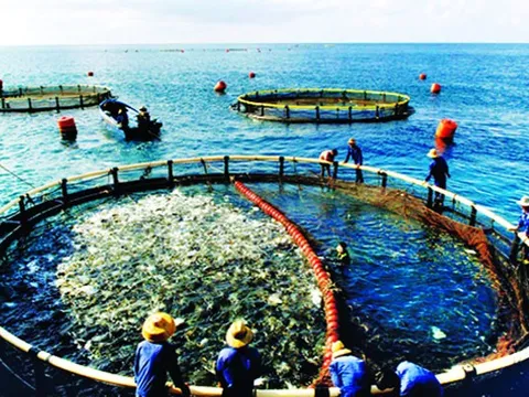 Ít ai ngờ 'mỏ vàng dưới nước' của Việt Nam mang về gần 1 tỷ USD chỉ trong 1 tháng: Trung Quốc, Nhật Bản 'mê không lối thoát'